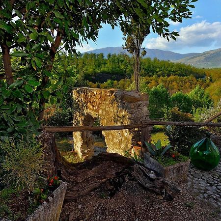 Tenuta Di Vico Moricino Anagni Εξωτερικό φωτογραφία