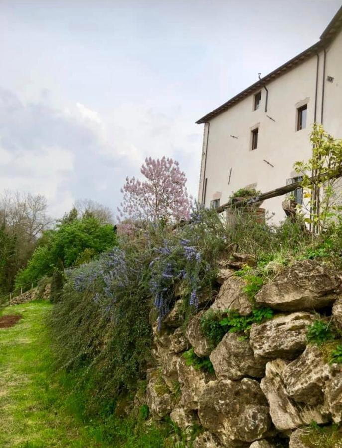 Tenuta Di Vico Moricino Anagni Εξωτερικό φωτογραφία