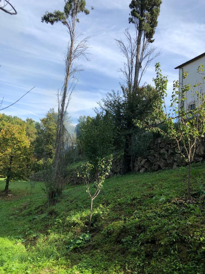 Tenuta Di Vico Moricino Anagni Εξωτερικό φωτογραφία